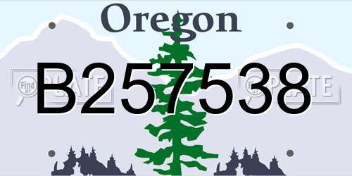 B257538 Oregon License Plate