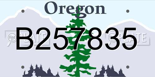 B257835 Oregon License Plate