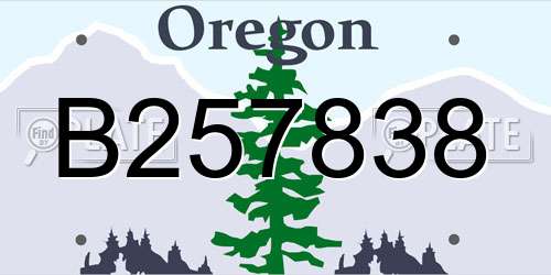B257838 Oregon License Plate