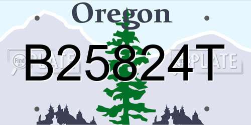 B25824T Oregon License Plate