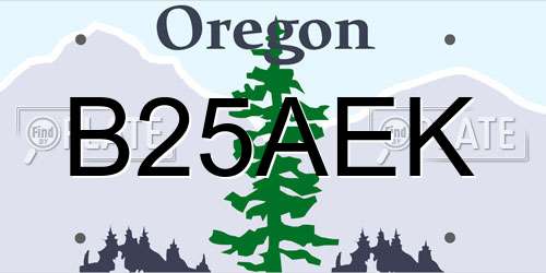 B25AEK Oregon License Plate