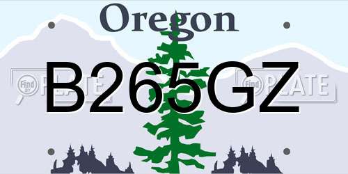B265GZ Oregon License Plate