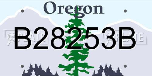 B28253B Oregon License Plate