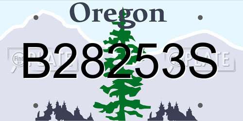 B28253S Oregon License Plate