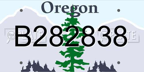 B282838 Oregon License Plate