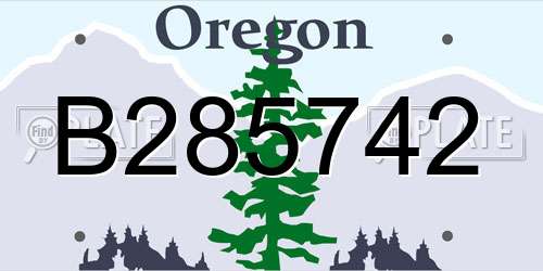 B285742 Oregon License Plate