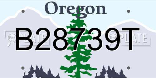 B28739T Oregon License Plate