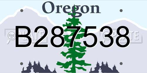 B287538 Oregon License Plate