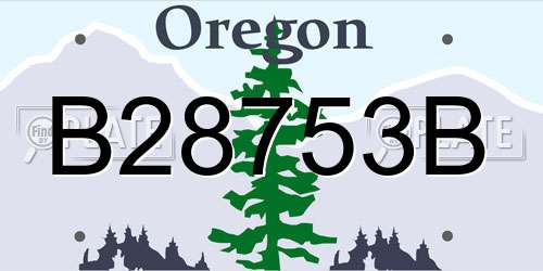 B28753B Oregon License Plate