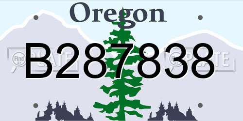 B287838 Oregon License Plate
