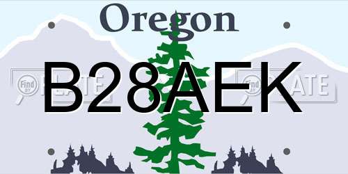 B28AEK Oregon License Plate
