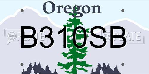 B310SB Oregon License Plate