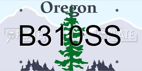 B310SS Oregon License Plate