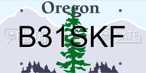 B31SKF Oregon License Plate