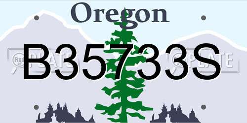 B35733S Oregon License Plate