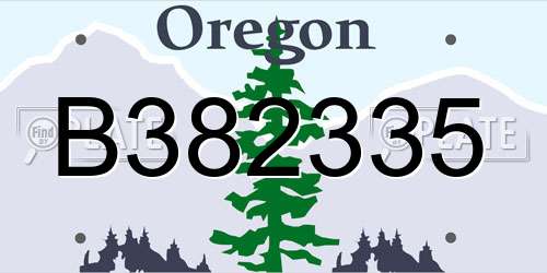 B382335 Oregon License Plate
