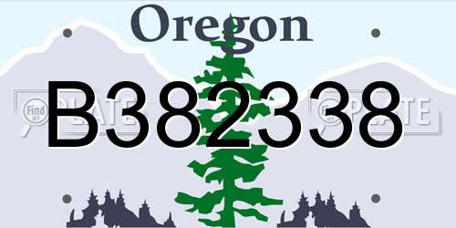 B382338 Oregon License Plate
