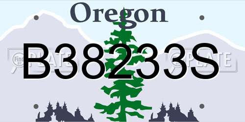 B38233S Oregon License Plate