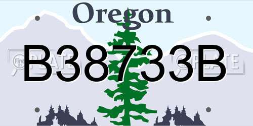 B38733B Oregon License Plate