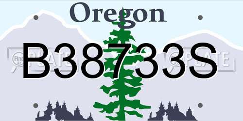 B38733S Oregon License Plate