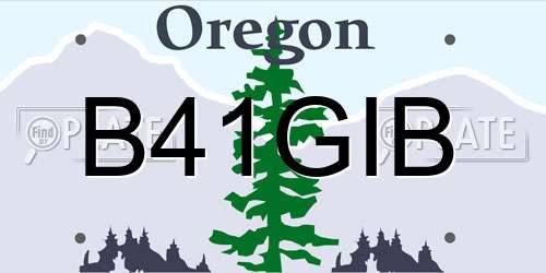 B41GIB Oregon License Plate