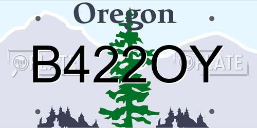 B422OY Oregon License Plate