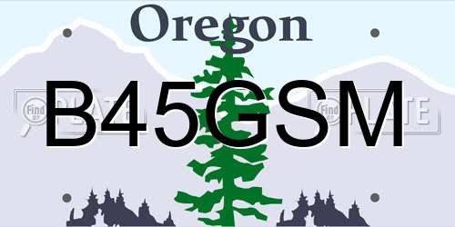 B45GSM Oregon License Plate