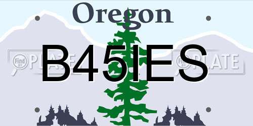 B45IES Oregon License Plate