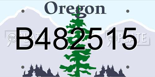 B482515 Oregon License Plate