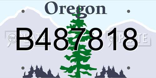 B487818 Oregon License Plate