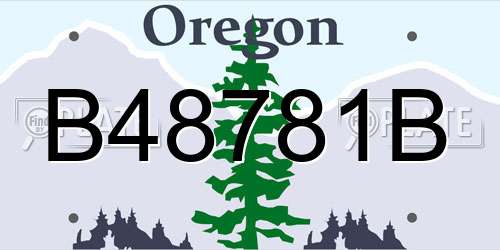 B48781B Oregon License Plate