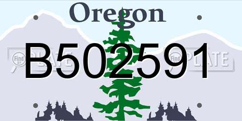 B502591 Oregon License Plate