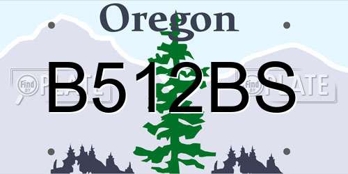 B512BS Oregon License Plate