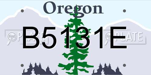B5131E Oregon License Plate