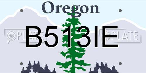 B513IE Oregon License Plate