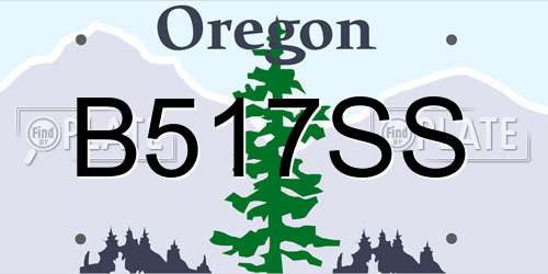 B517SS Oregon License Plate
