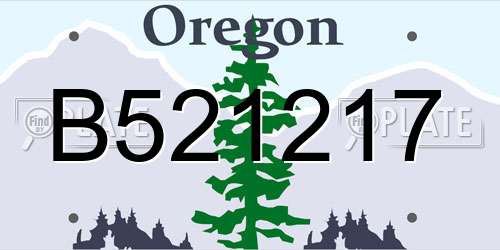 B521217 Oregon License Plate