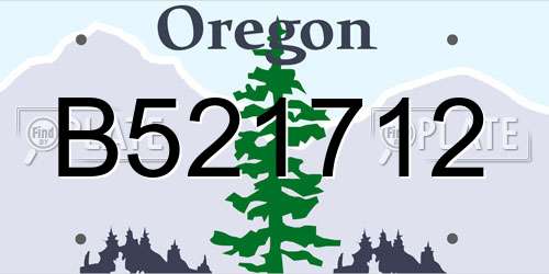 B521712 Oregon License Plate