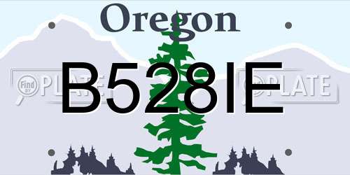 B528IE Oregon License Plate