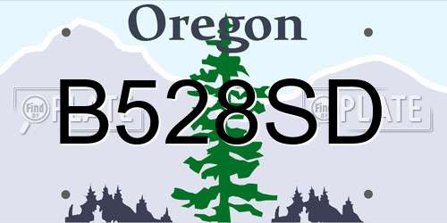 B528SD Oregon License Plate