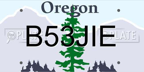B53JIE Oregon License Plate