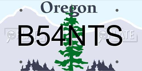 B54NTS Oregon License Plate