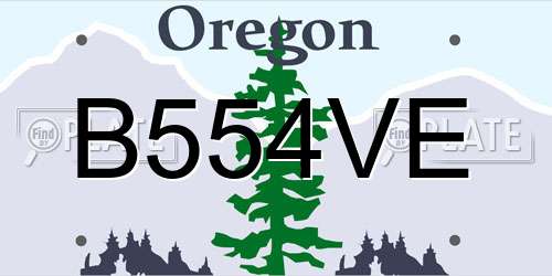 B554VE Oregon License Plate