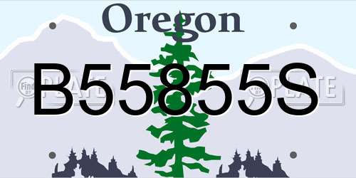 B55855S Oregon License Plate