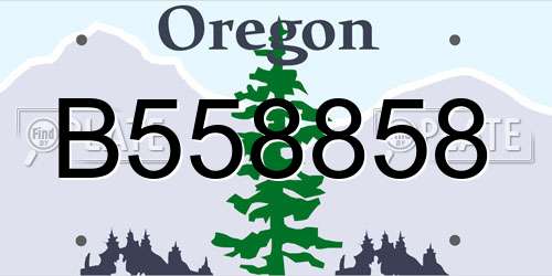 B558858 Oregon License Plate