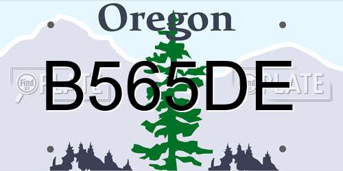 B565DE Oregon License Plate