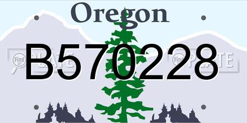 B570228 Oregon License Plate