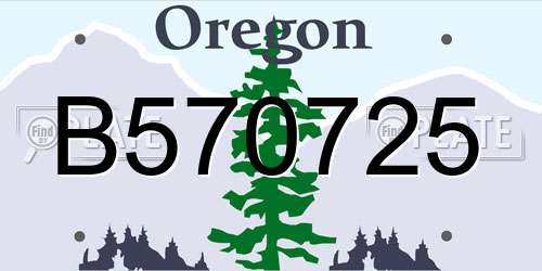 B570725 Oregon License Plate