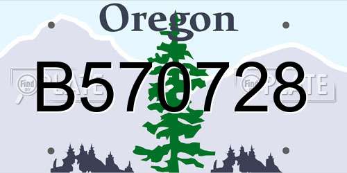 B570728 Oregon License Plate