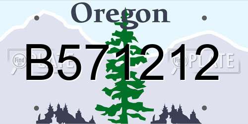B571212 Oregon License Plate